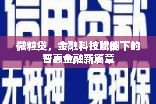 屯门微粒贷，金融科技赋能下的普惠金融新篇章