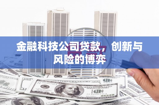 永年金融科技公司贷款，创新与风险的博弈