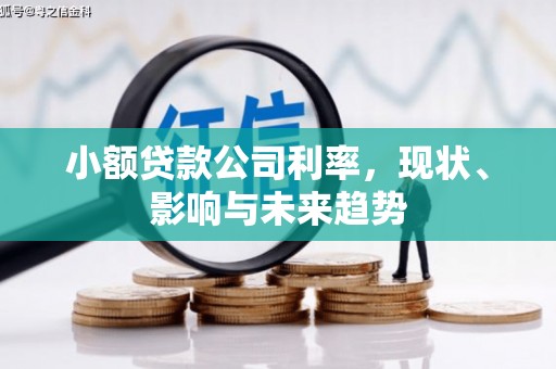 白水小额贷款公司利率，现状、影响与未来趋势