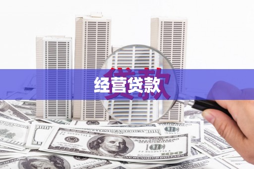 田林经营贷款