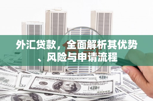 巴东外汇贷款，全面解析其优势、风险与申请流程