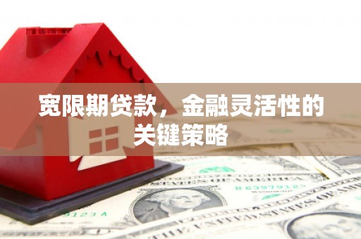 汉源宽限期贷款，金融灵活性的关键策略