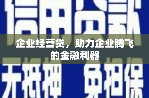 施甸企业经营贷，助力企业腾飞的金融利器