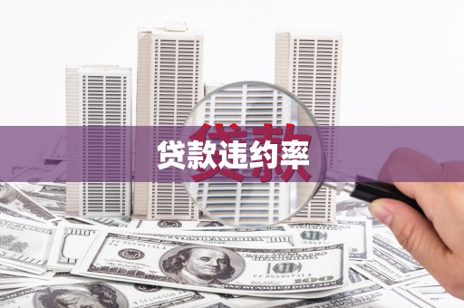长洲贷款违约率