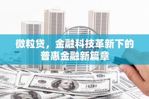 虾峙微粒贷，金融科技革新下的普惠金融新篇章