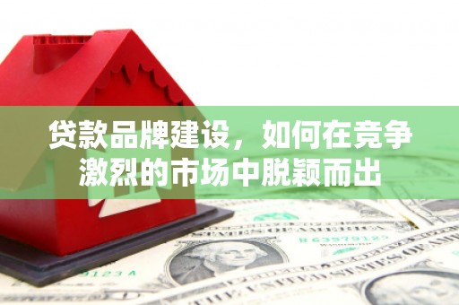 泌阳贷款品牌建设，如何在竞争激烈的市场中脱颖而出