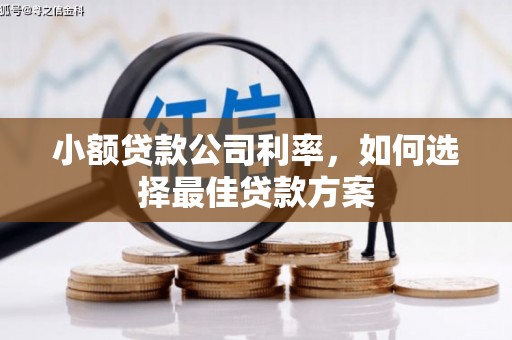 宁波小额贷款公司利率，如何选择最佳贷款方案