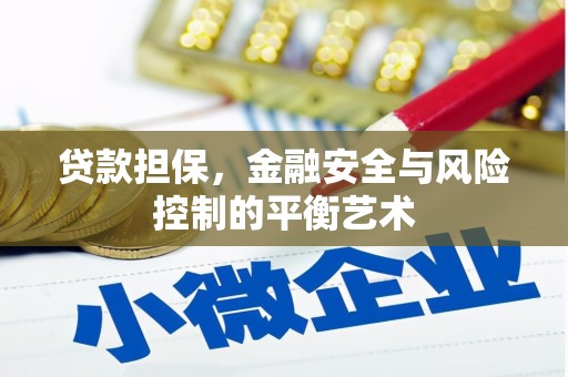 徐水贷款担保，金融安全与风险控制的平衡艺术
