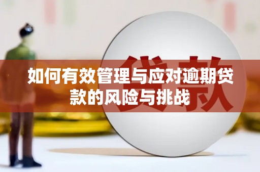 钦北如何有效管理与应对逾期贷款的风险与挑战
