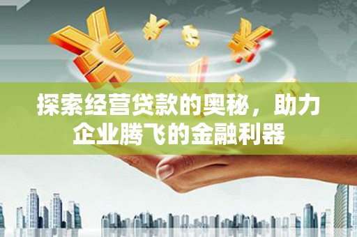 乐东探索经营贷款的奥秘，助力企业腾飞的金融利器