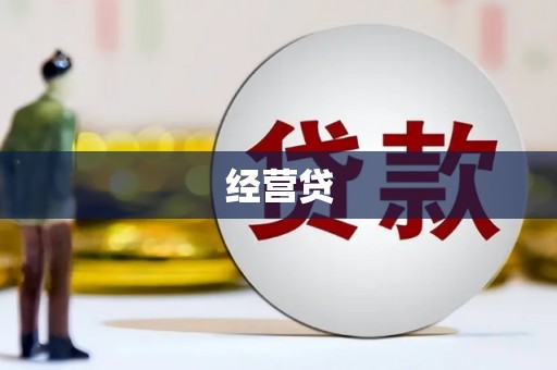 环江经营贷