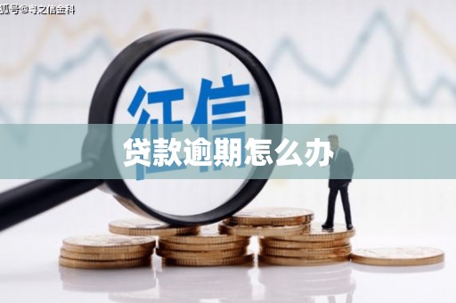 小金贷款逾期怎么办