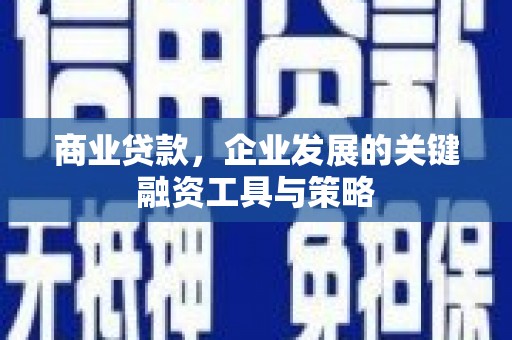 鹿城商业贷款，企业发展的关键融资工具与策略