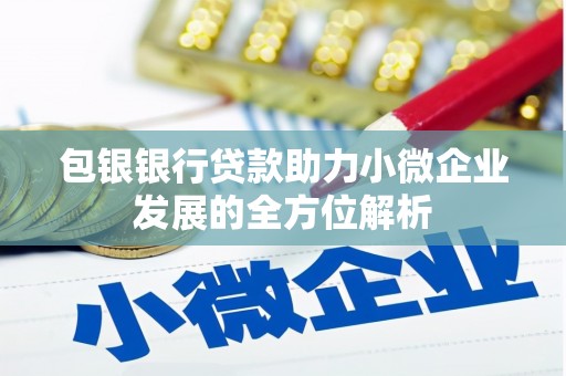 丹徒包银银行贷款助力小微企业发展的全方位解析