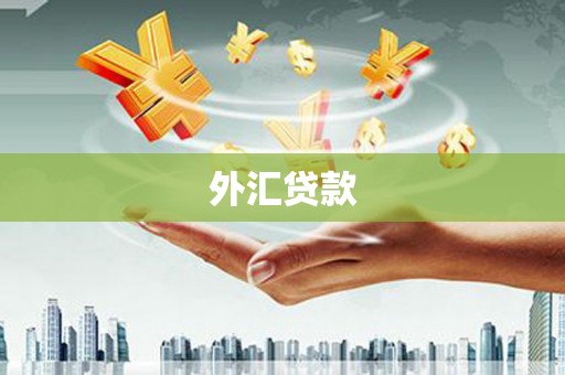 光山外汇贷款