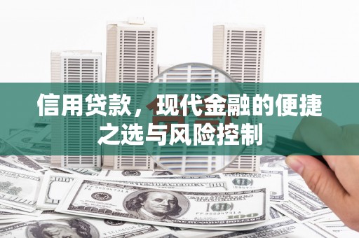 双清信用贷款，现代金融的便捷之选与风险控制