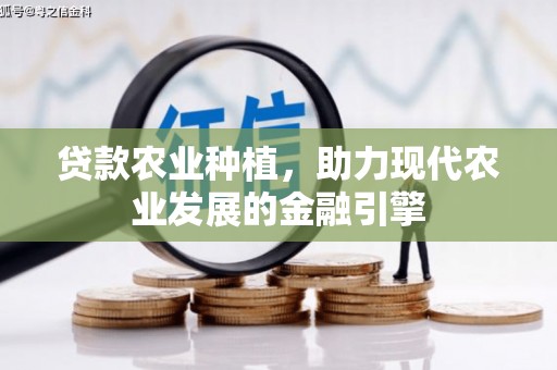 邵武贷款农业种植，助力现代农业发展的金融引擎