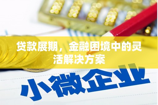 特克斯贷款展期，金融困境中的灵活解决方案