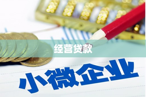 凤县经营贷款