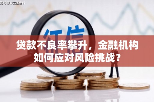 隆回贷款不良率攀升，金融机构如何应对风险挑战？