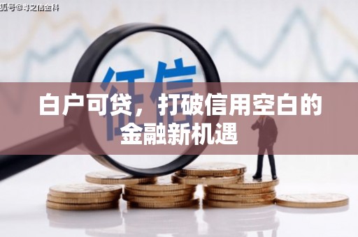 云安白户可贷，打破信用空白的金融新机遇