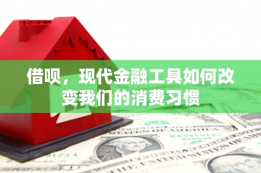 惠济借呗，现代金融工具如何改变我们的消费习惯