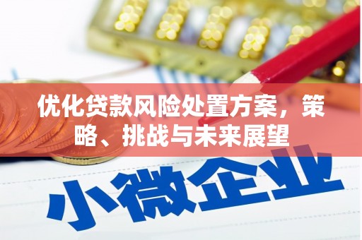 哈尔滨优化贷款风险处置方案，策略、挑战与未来展望