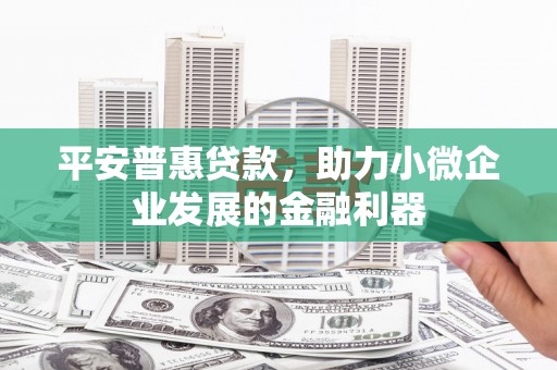 城东平安普惠贷款，助力小微企业发展的金融利器