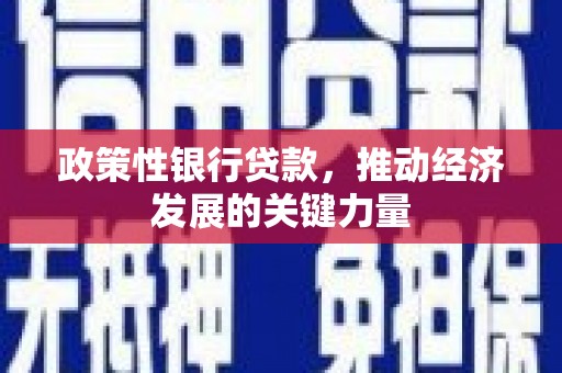 上街政策性银行贷款，推动经济发展的关键力量