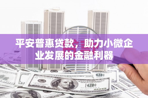 荥经平安普惠贷款，助力小微企业发展的金融利器