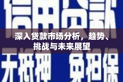 秀屿深入贷款市场分析，趋势、挑战与未来展望