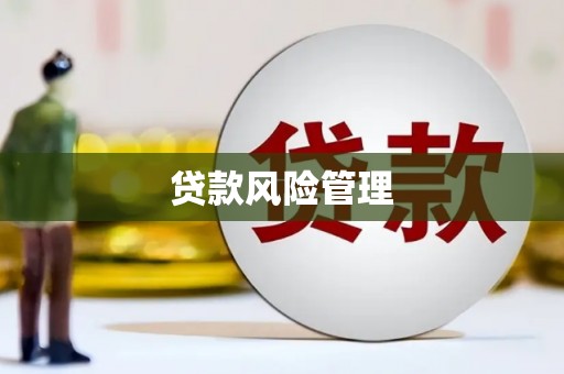 延平贷款风险管理