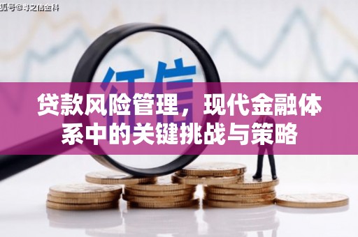 额敏贷款风险管理，现代金融体系中的关键挑战与策略