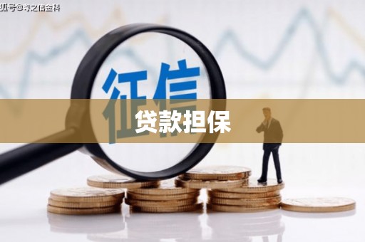 应县贷款担保