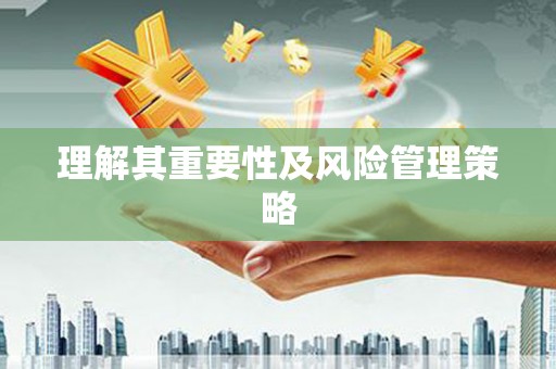 麟游理解其重要性及风险管理策略