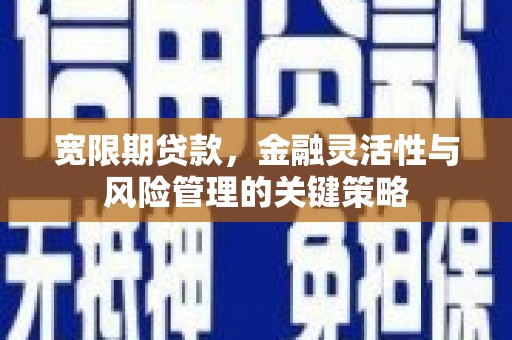 曲沃宽限期贷款，金融灵活性与风险管理的关键策略