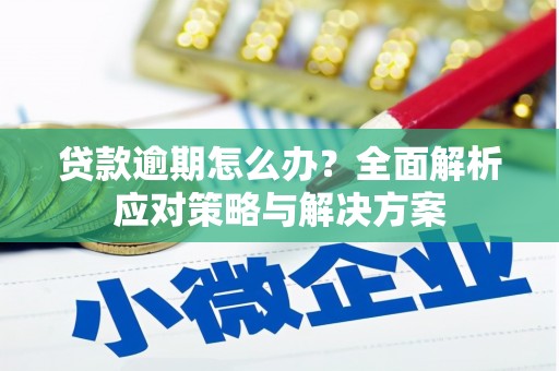 疏附贷款逾期怎么办？全面解析应对策略与解决方案