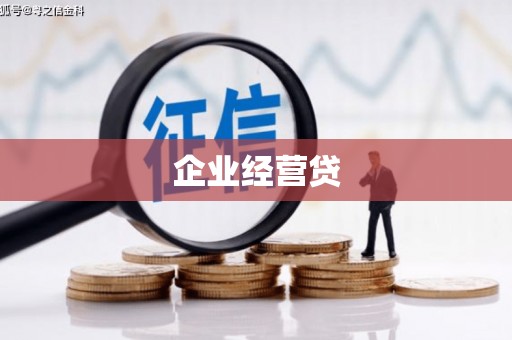 南县企业经营贷