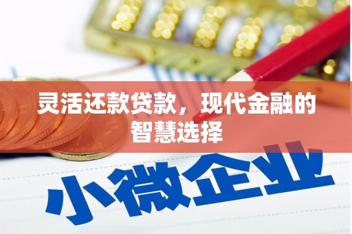 灞桥灵活还款贷款，现代金融的智慧选择