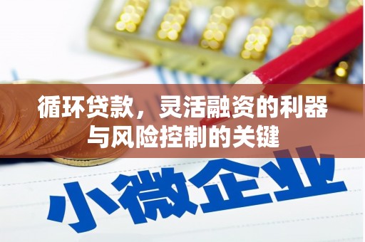 临潭循环贷款，灵活融资的利器与风险控制的关键