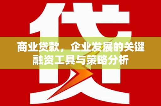 柳营商业贷款，企业发展的关键融资工具与策略分析