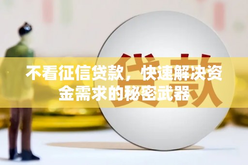 黔东南不看征信贷款，快速解决资金需求的秘密武器
