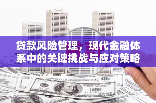 丰满贷款风险管理，现代金融体系中的关键挑战与应对策略