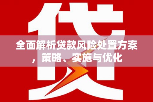 狮子全面解析贷款风险处置方案，策略、实施与优化