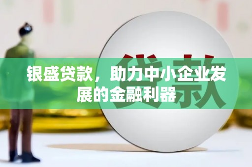 点军银盛贷款，助力中小企业发展的金融利器