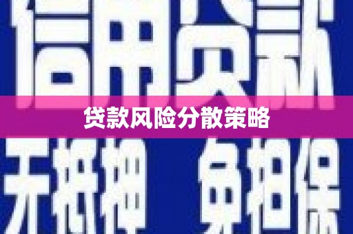 云阳贷款风险分散策略