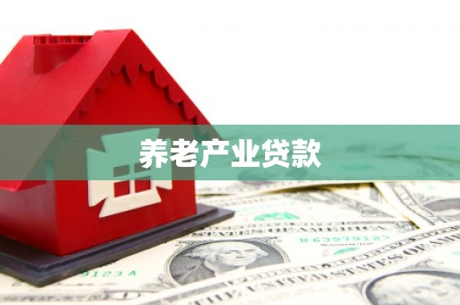 荥经养老产业贷款
