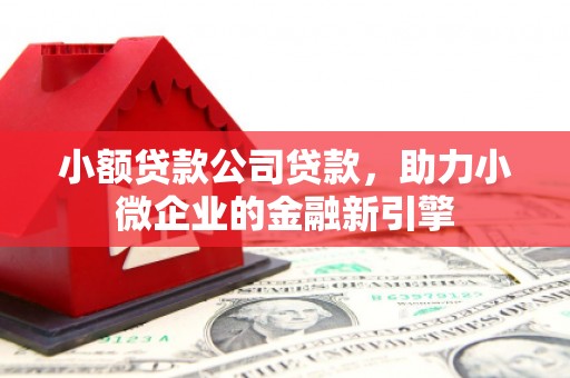 资阳小额贷款公司贷款，助力小微企业的金融新引擎
