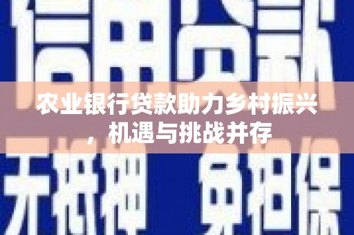 江宁农业银行贷款助力乡村振兴，机遇与挑战并存