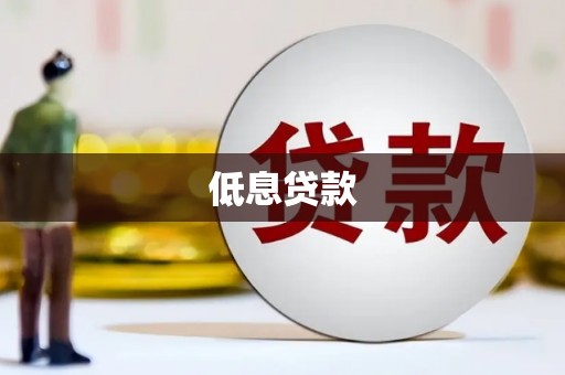 巩留低息贷款